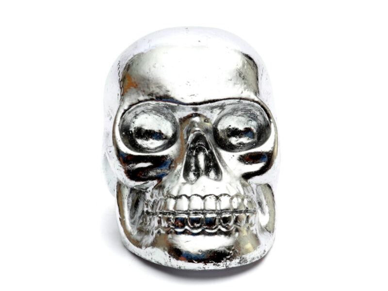 The Resin Skull Head Silver M