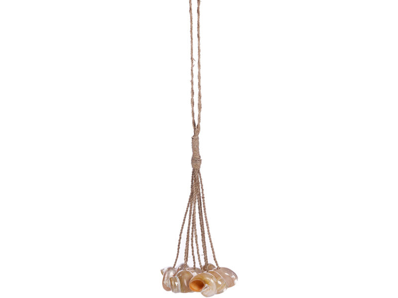The Conch Shell Tassel, Natural