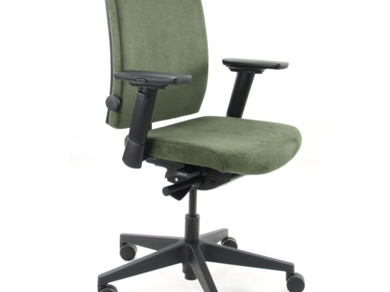 Workliving Eva Comfort Ergonomic Office Chair, Green Regain, (N)EN 1335