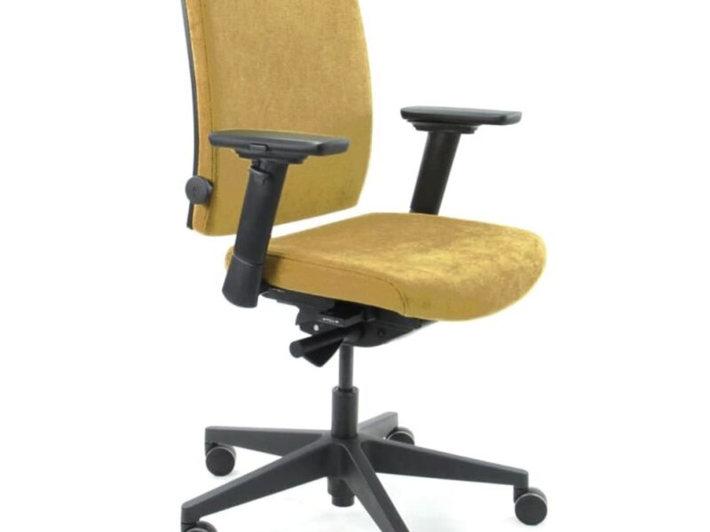 Workliving Eva Comfort Ergonomic Office Chair, Yellow Regain, (N)EN 1335