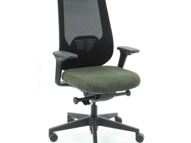 Workliving Nora Mesh Ergonomic Design Office Chair, Green Regain, NEN 1335