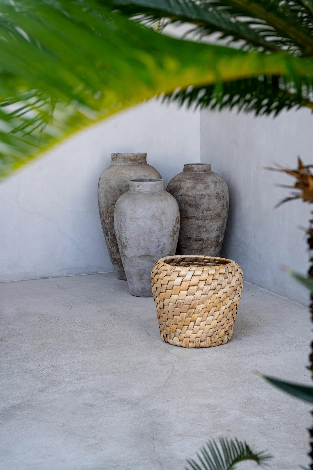 The Chidi Basket — 3