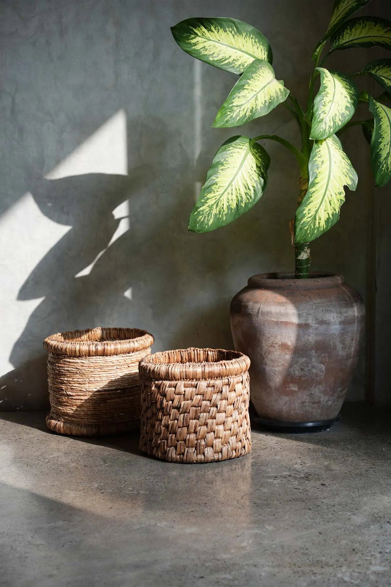 The Choppy Basket — 3