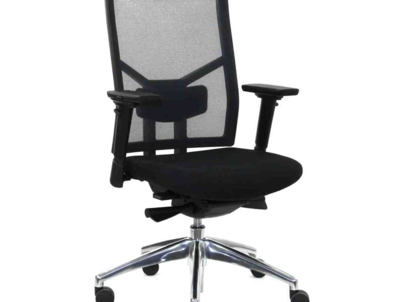 Workliving Zuidas Mesh, Regain Seat, Ergonomic Design Office Chair, (N)EN 1335