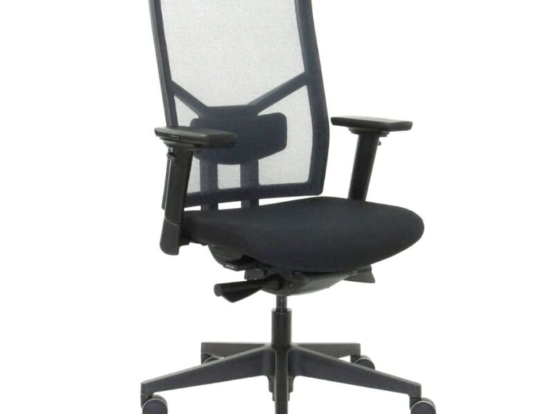 Workliving Zuidas Mesh Black Edition, Regain Seat, Ergonomic Design Office Chair, (N)EN 1335