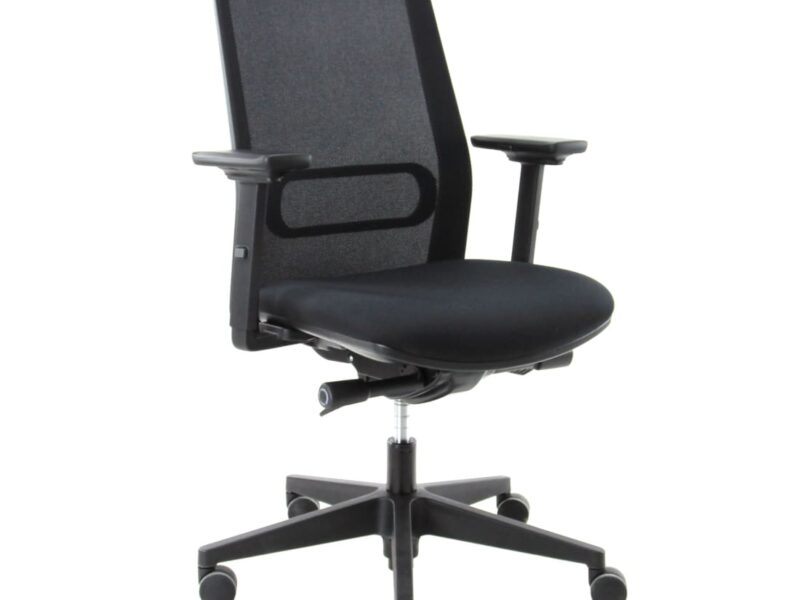 Workliving Dreamliner Mesh Black Edition, Ergonomic Design Office Chair (N)EN 1335