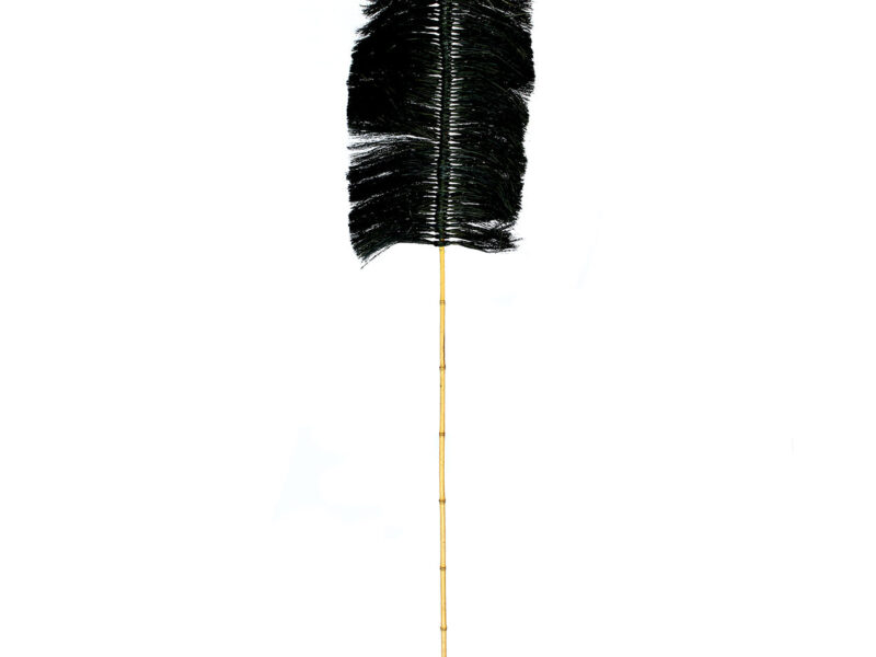 The Raffia Palmeira, Black