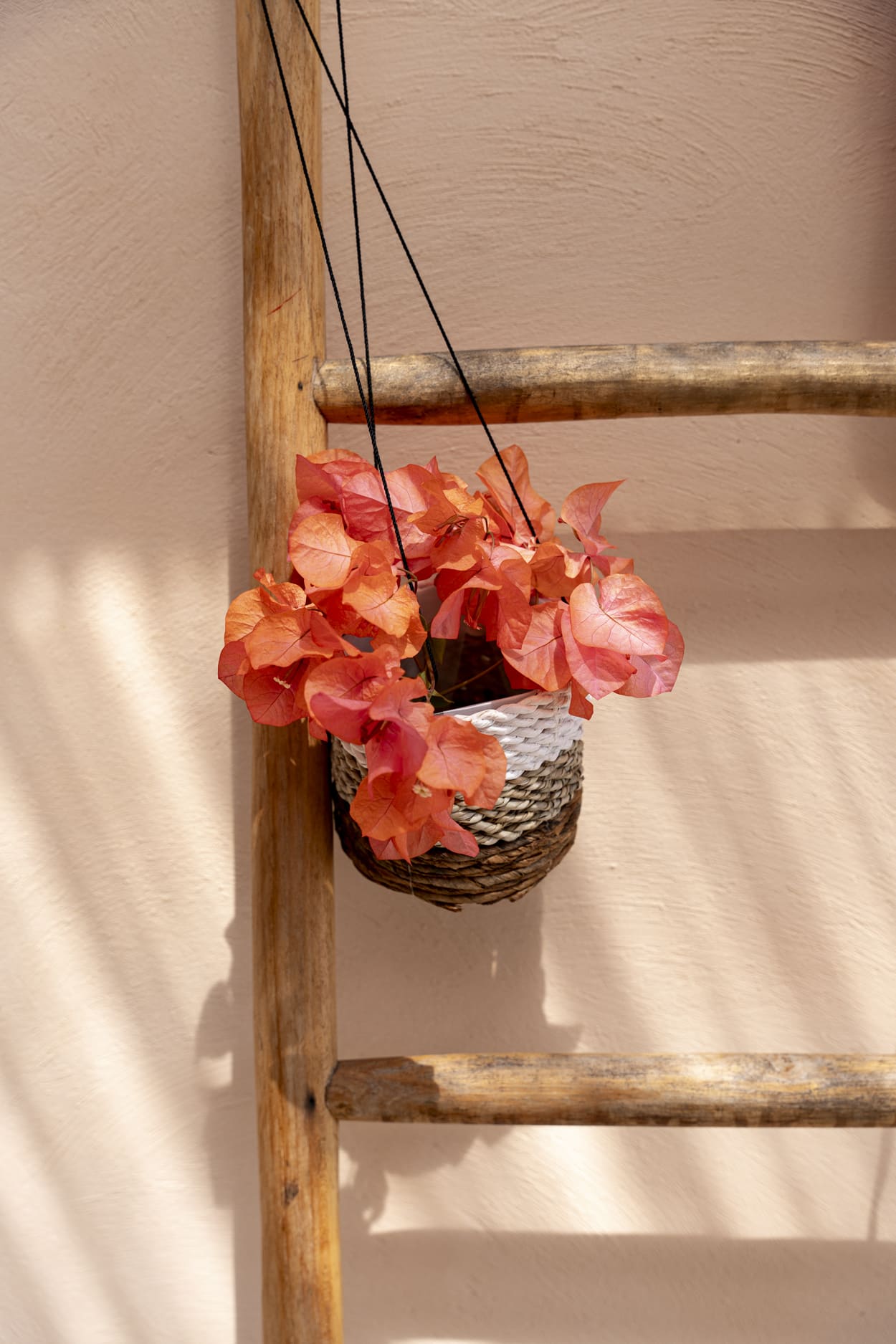The Banana Plant Hanger, Natural White, S — 3