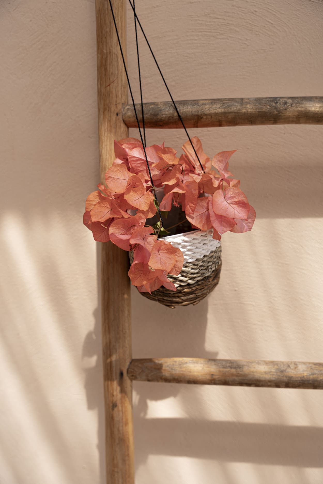 The Banana Plant Hanger, Natural White, S — 4