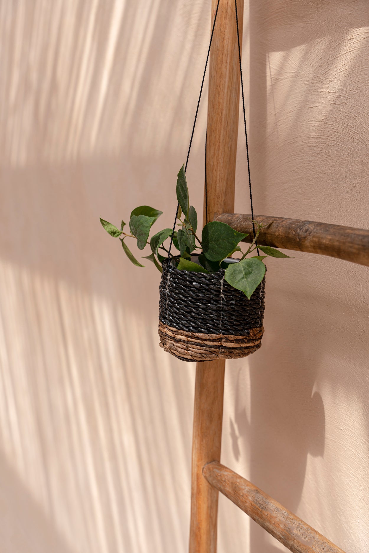 The Banana Plant Hanger, Natural Black, S — 5