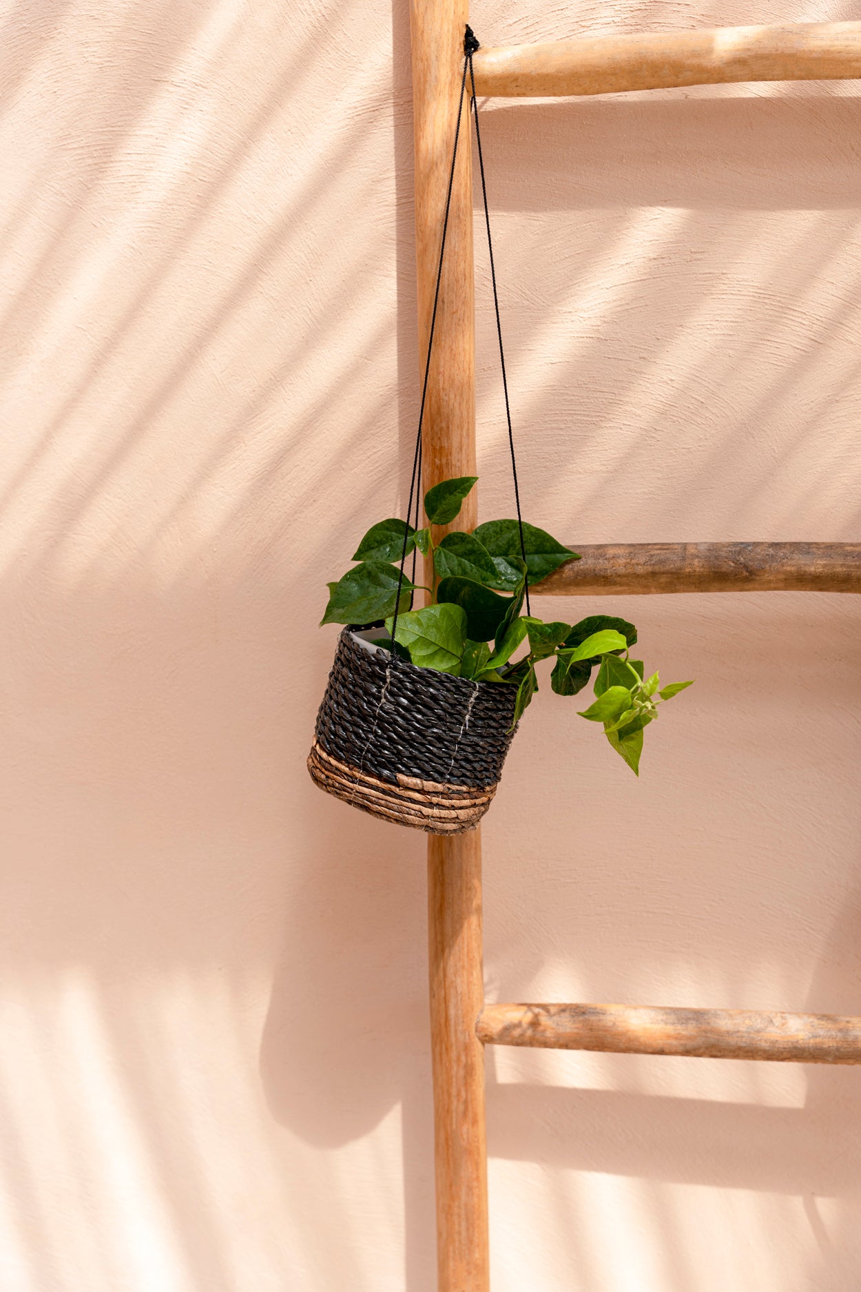 The Banana Plant Hanger, Natural Black, S — 7
