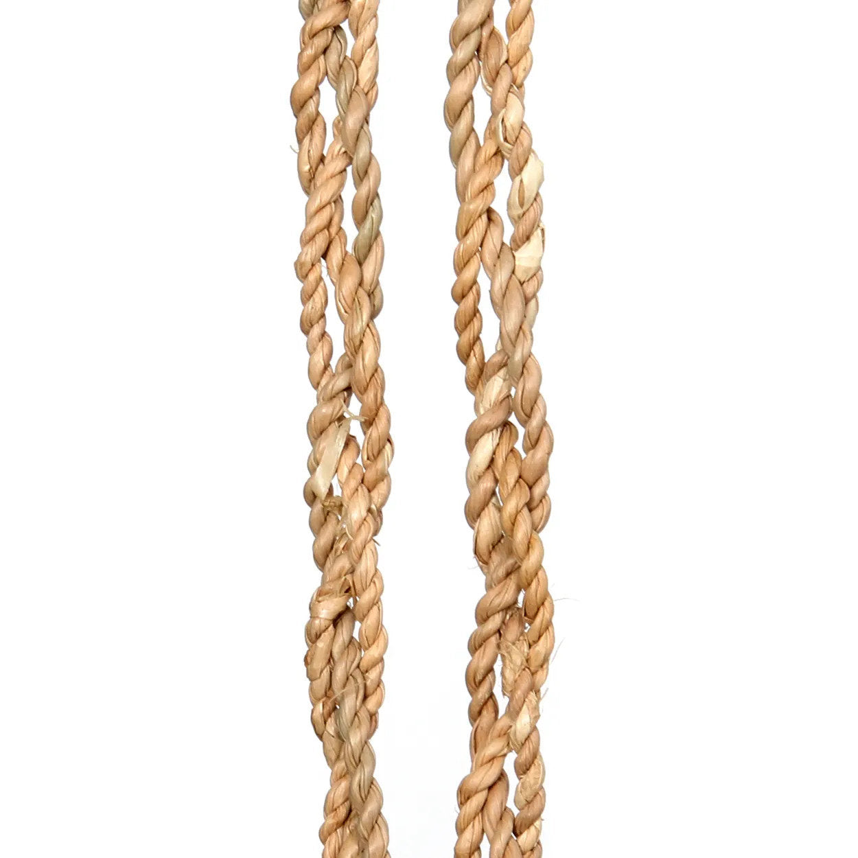 The Vanilla Shell Tassel — 3