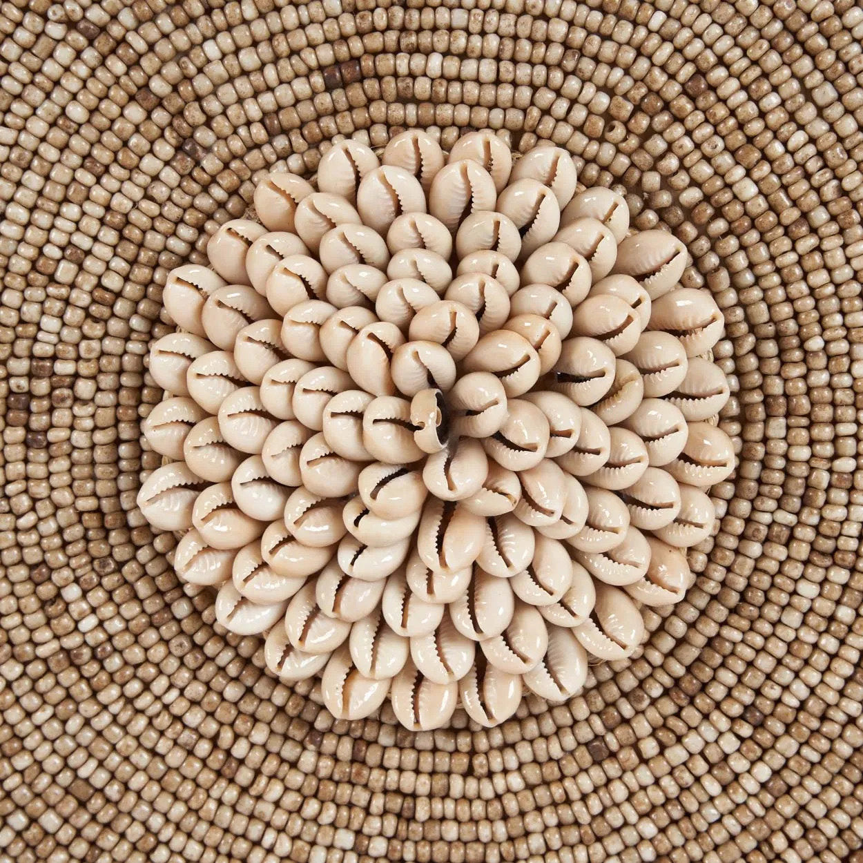 The Shell Guadeloupe on Stand, Natural White — 8